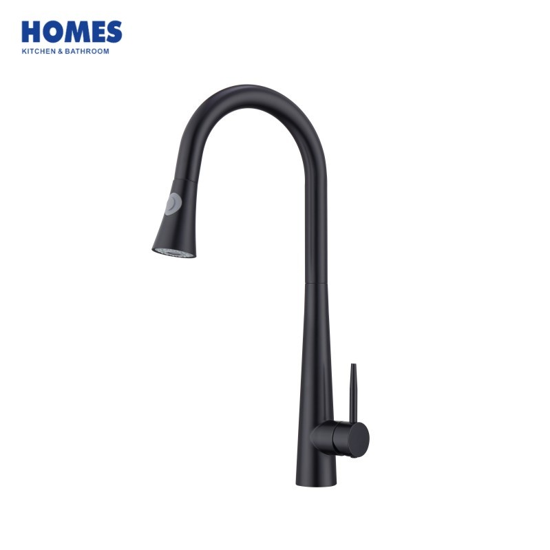 BS207 Kitchen Faucet